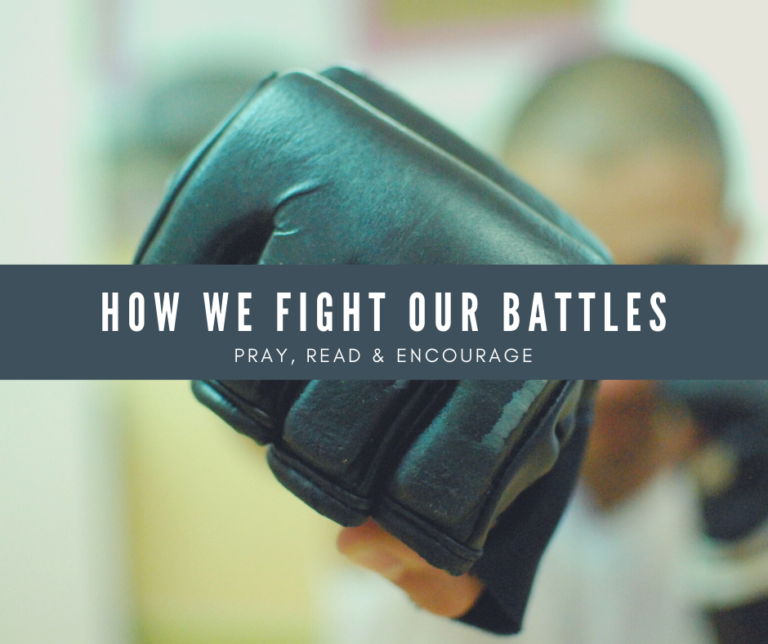 how we fight for our lives review