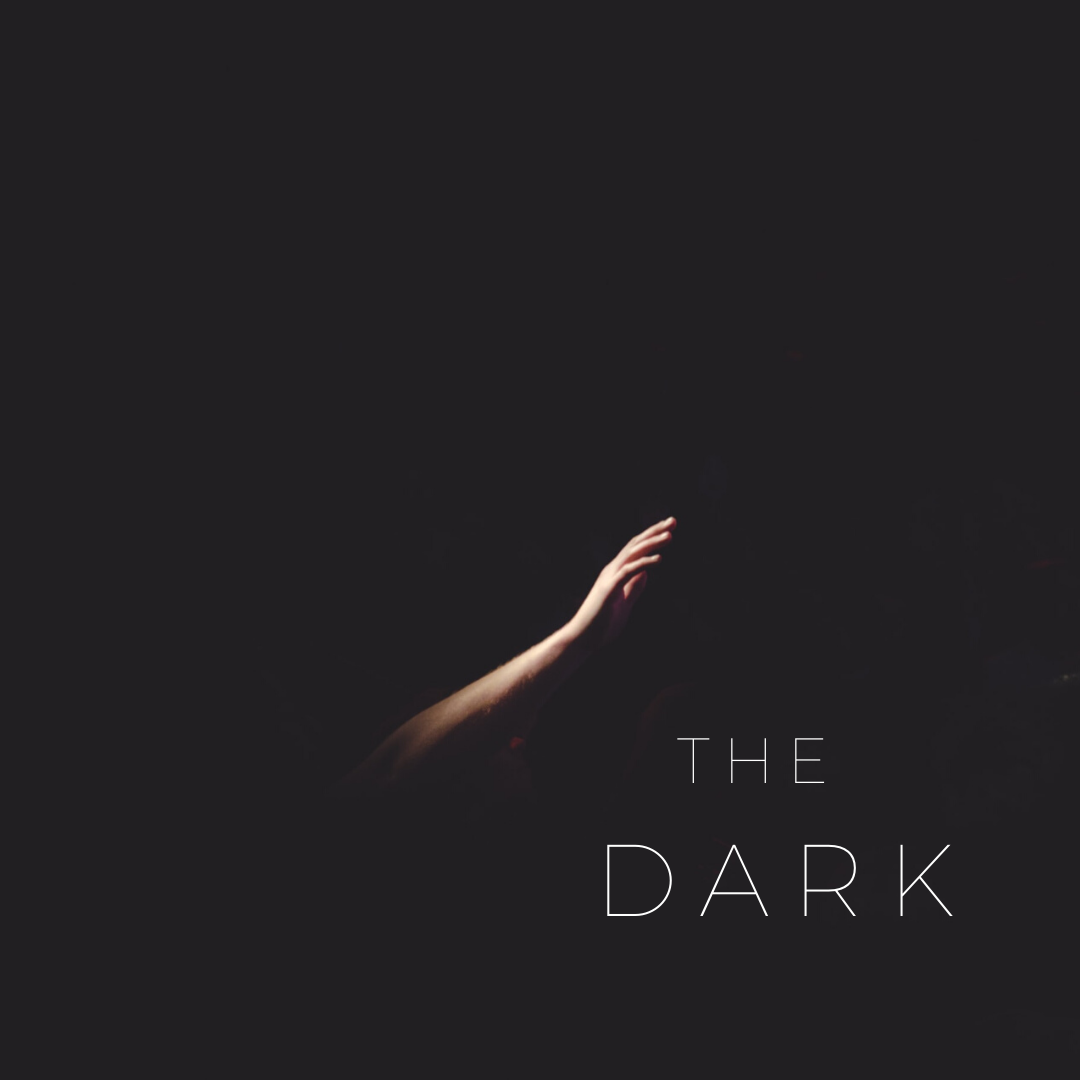 Read more about the article The Dark