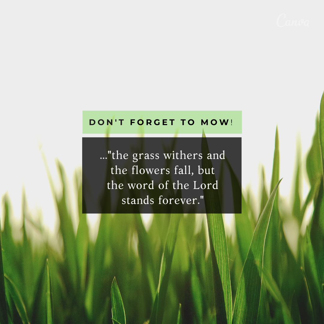 Read more about the article Don’t Forget to Mow!