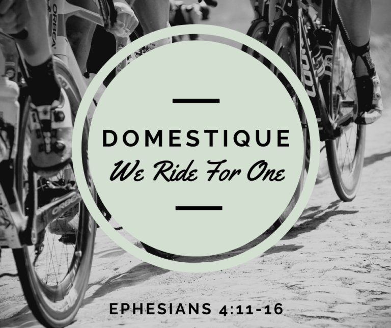 Read more about the article Domestique